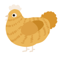 A honey and orange chicken with a bar pattern