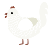A white chicken with a lace pattern