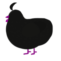 A black chicken with a speckle pattern