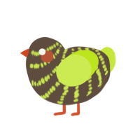 A bark and lime chicken with a bar pattern