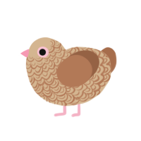 shortbread, a beige and brown chicken with a double-lace pattern