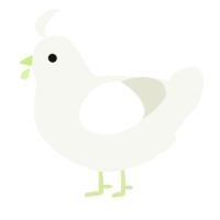 A white chicken