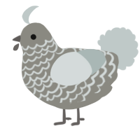 A ash and silver chicken with a lace pattern