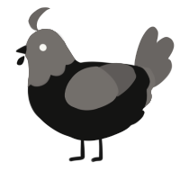 A black and grey chicken with a head pattern