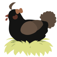 A black and bark chicken