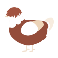 A russet and cream chicken with a head pattern