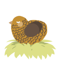 A gold and bark chicken with a lace pattern