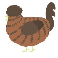 A brown and bark chicken with a bar pattern