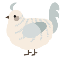 A cream and silver chicken with a half-bar pattern