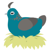 A sea and grey chicken with a neck-speckle pattern
