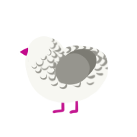 (unnamed), a white and ash chicken with a half-lace pattern