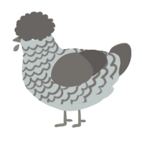 A silver and grey chicken with a lace pattern