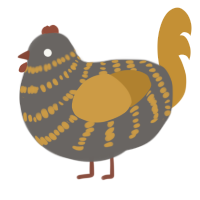 A grey and gold chicken with a bar pattern