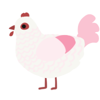 A white and rose chicken with a lace pattern