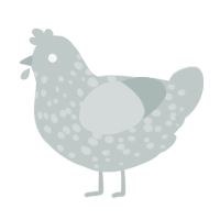 A silver chicken with a speckle pattern