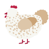 A white and beige chicken with a speckle pattern
