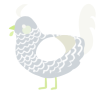 A mist and white chicken with a lace pattern