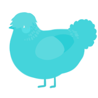 A aqua chicken with a neck-band pattern