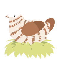 A cream and brown chicken with a bar pattern
