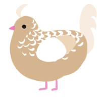 A beige and cream chicken with a half-lace pattern