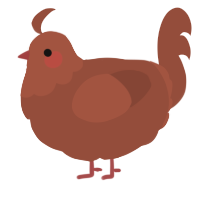 A russet chicken with a head pattern