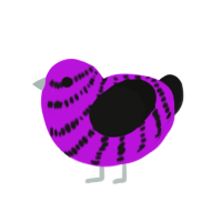 Barnone, a amethyst and black chicken with a bar pattern