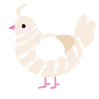 A cream chicken with a bar pattern