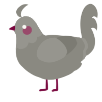 A ash chicken with a head pattern
