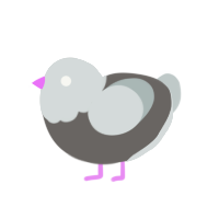 Steelia, a grey and silver chicken with a head pattern