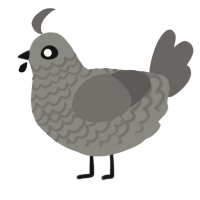 A ash and grey chicken with a lace pattern