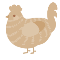 A beige chicken with a bar pattern