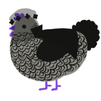 A ash and black chicken with a double-lace pattern