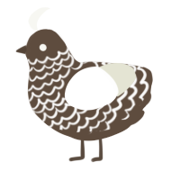 A bark and white chicken with a lace pattern