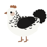 A white and sable chicken with a half-lace pattern