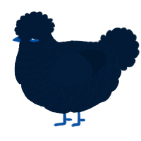 A tumblr chicken with a lace pattern