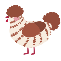 A cream and russet chicken with a bar pattern