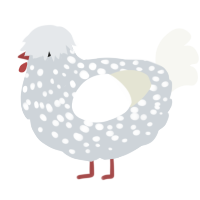 A mist and white chicken with a speckle pattern