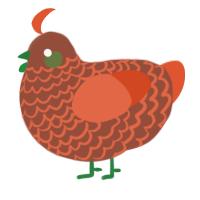 A russet and vermilion chicken with a lace pattern