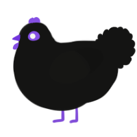 A black chicken