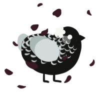 A black and silver chicken with a half-lace pattern