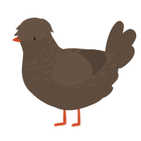 A bark chicken with a half-lace pattern