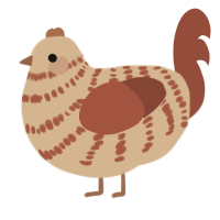 A beige and russet chicken with a bar pattern