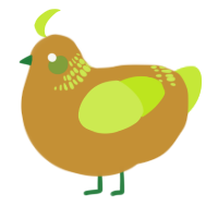A gold and lime chicken with a neck-band pattern