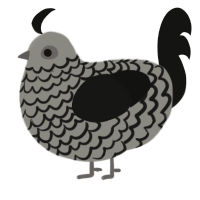 A ash and black chicken with a lace pattern