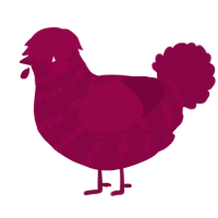 A maroon chicken with a bar pattern