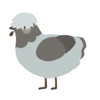 A silver and grey chicken with a head pattern