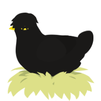 A sable chicken