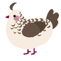 A cream and bark chicken with a half-lace pattern