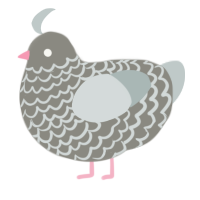 A ash and silver chicken with a lace pattern