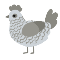 A mist and ash chicken with a lace pattern